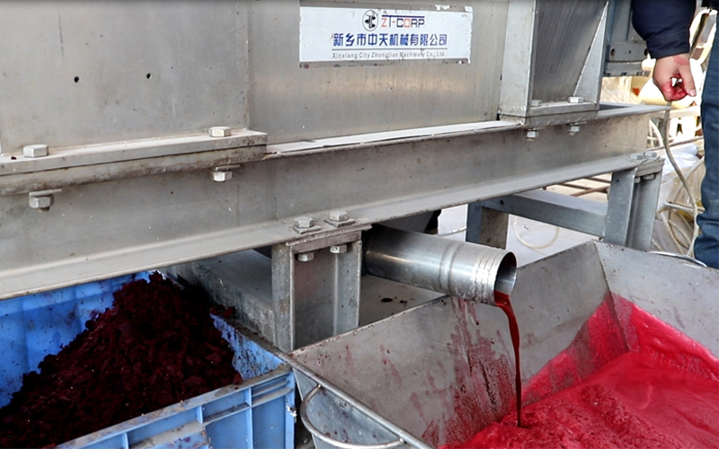 Food Processing